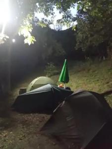 Three poplars by VL Camping - 9