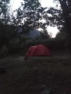 Three poplars by VL Camping - 8