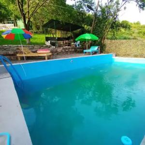 Three poplars by VL Camping - 27