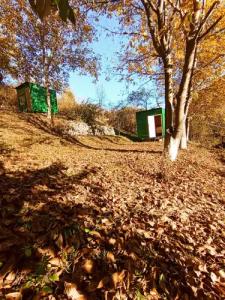 Three poplars by VL Camping - 3