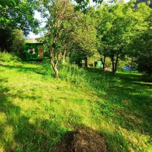 Three poplars by VL Camping - 16