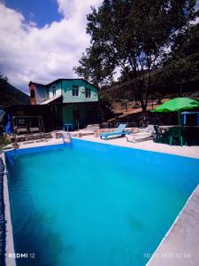 Three poplars by VL Camping - 49