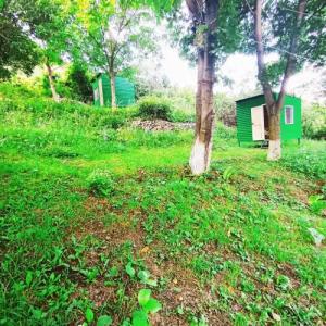 Three poplars by VL Camping - 26