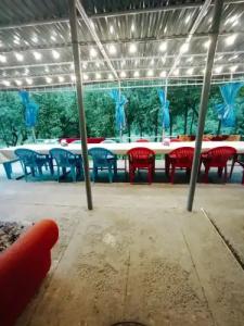 Three poplars by VL Camping - 12