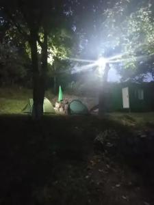 Three poplars by VL Camping - 10