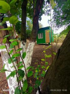 Three poplars by VL Camping - 44