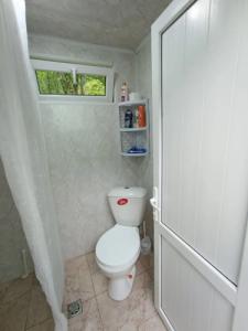 Three poplars by VL Camping - 56