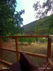 Three poplars by VL Camping - 42