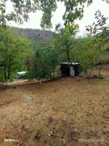 Three poplars by VL Camping - 47