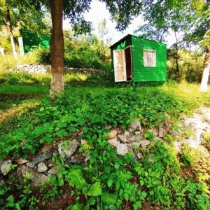 Three poplars by VL Camping - 15