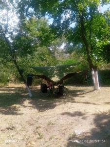 Three poplars by VL Camping - 48