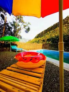 Three poplars by VL Camping - 32