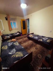 Three poplars by VL Camping - 50