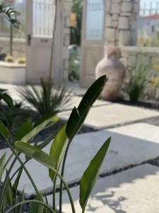 Voger Alacati Silence - 18