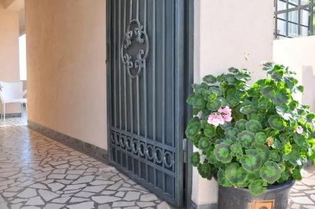 Vila Miranovic Apart-Hotel - 1