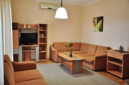 Vila Miranovic Apart-Hotel - 13