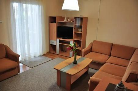 Vila Miranovic Apart-Hotel - 14