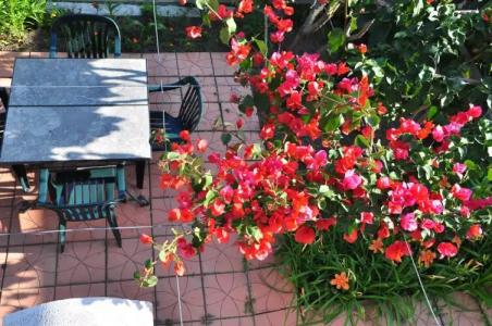 Vila Miranovic Apart-Hotel - 25