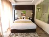 Deluxe Double room with balcony and with mountain view