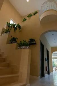 The Carob Tree B&B - 16