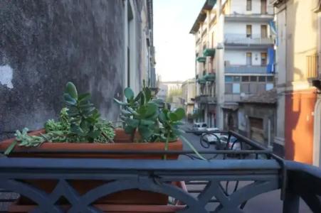 Palazzo Speciale B&B - 16