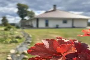 Art-House Guest House, Lida