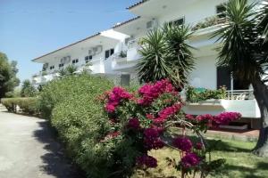 Asterias Bay-Theologos, Theologos