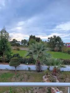 Asterias Bay-Theologos - 35