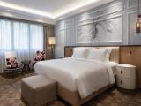Burdock Galata Double Suite with courtyard view