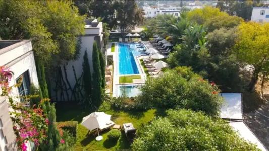 Sandora Boutique - 0