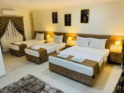 Sirius Otel Pamukkale - 21