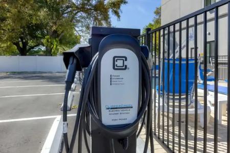 Sleep Inn & Suites Tampa South - 18