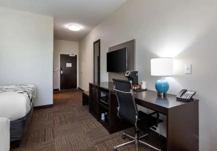 Sleep Inn & Suites Tampa South - 5