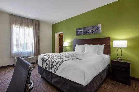 Sleep Inn & Suites Tampa South - 2