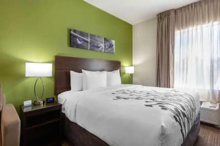 Sleep Inn & Suites Tampa South - 49