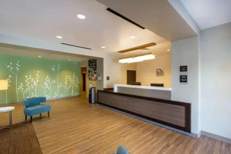 Sleep Inn & Suites Tampa South - 12