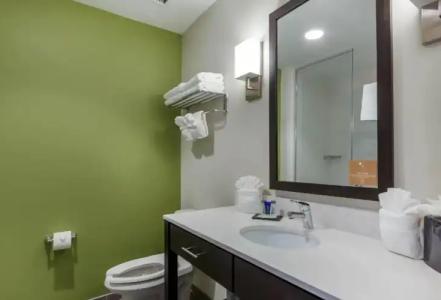 Sleep Inn & Suites Tampa South - 47