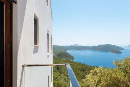 Golden Rose Suit - 12