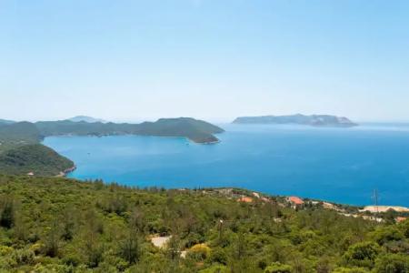 Golden Rose Suit - 16