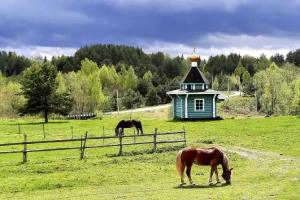 Orekhovo-Bereg Kamping Camping, Toropets