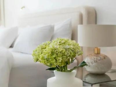 The Dolli at Acropolis, A to Live - 141