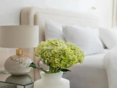 The Dolli at Acropolis, A to Live - 114