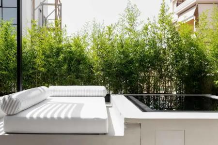 The Newel Psychiko - 31