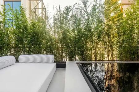 The Newel Psychiko - 142