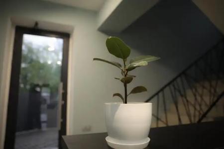 AM Boutique-hotel - 14