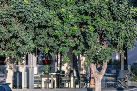 Chapter 02 Gallery Suites - 6