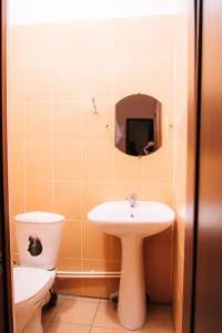 Profilaktoriy Zdravnitsa Zauralyya Health Resort - 24