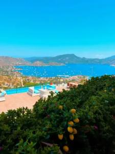 Selimiye Lime Garden Otel - 3