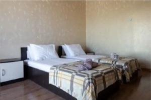 Grafskaya buhta Tourist base, Shcholkine