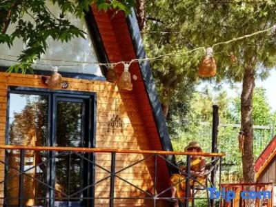 Pamukkale Apollon Garden - 117